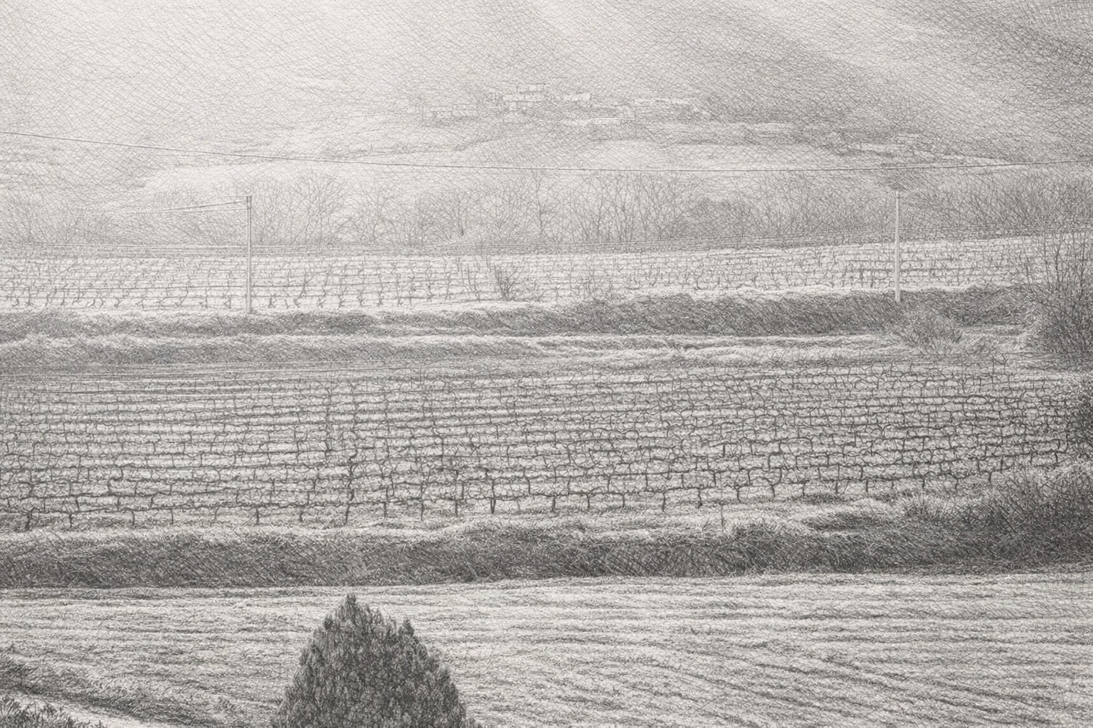 The Lands — Mas de Louise · Ardèche