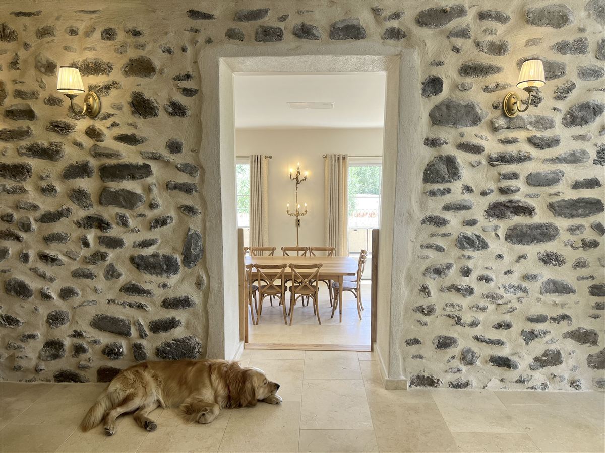 Pongo, le chien du Mas, endormi sur les dalles devant la salle &agrave; manger