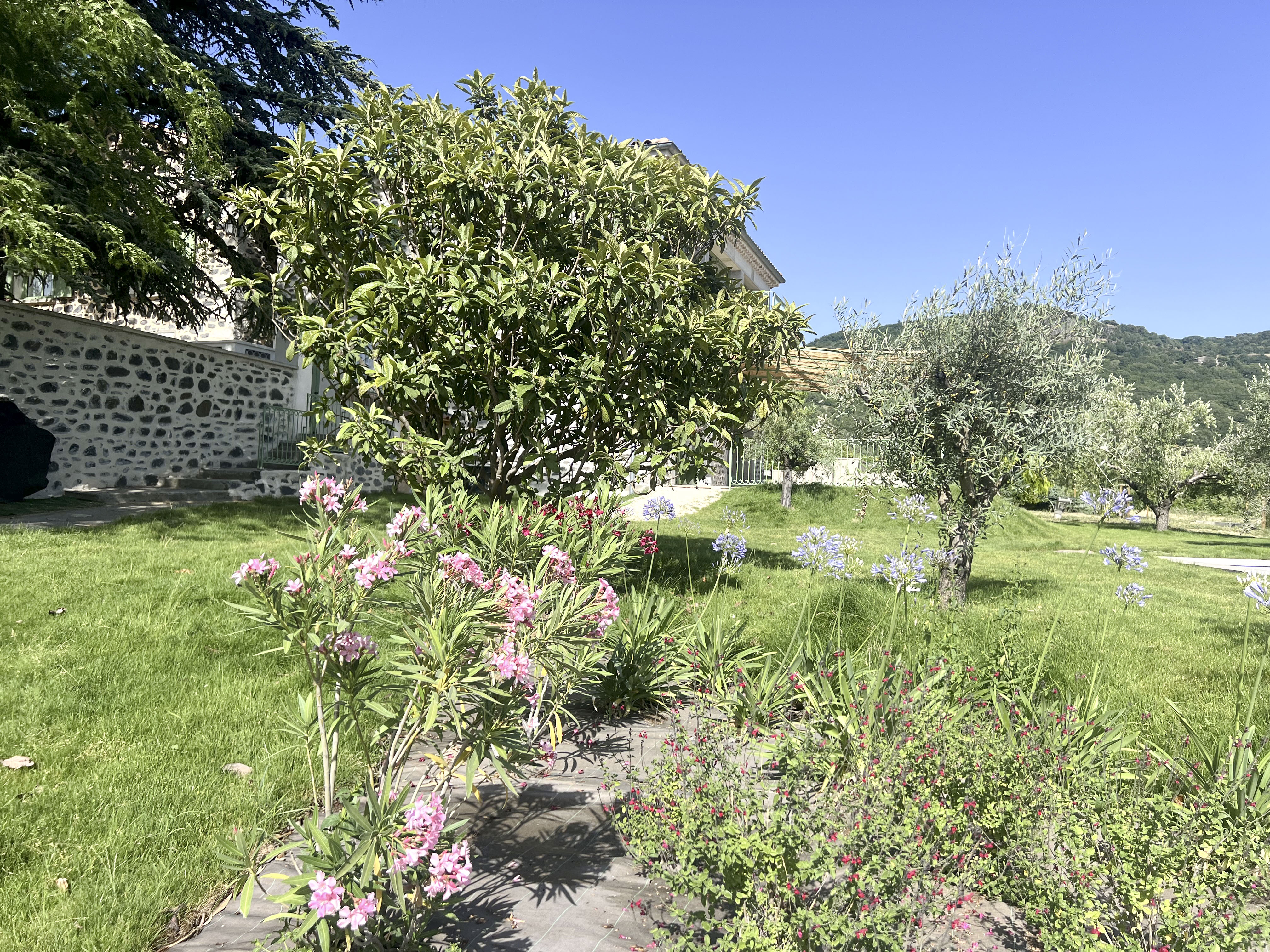 Le Jardin de Philippe — Espaces de vie du Mas de Louise