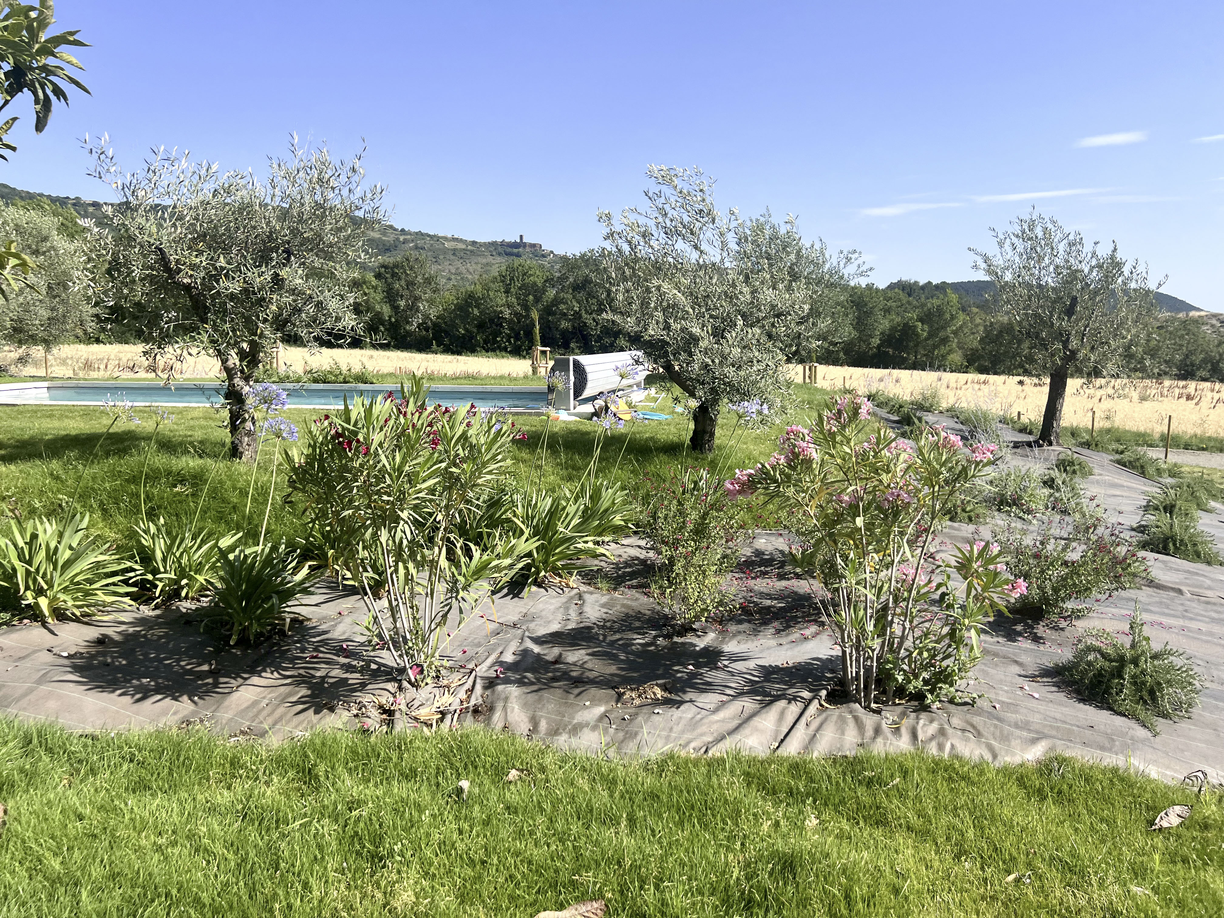 Le Jardin de Philippe — Espaces de vie du Mas de Louise